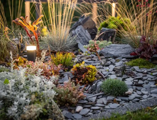 Piante per giardino roccioso a Torino: specie resistenti per un angolo verde elegante