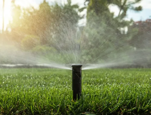 Guida all’irrigazione intelligente a Torino: acqua piovana e impianti a goccia per un verde duraturo