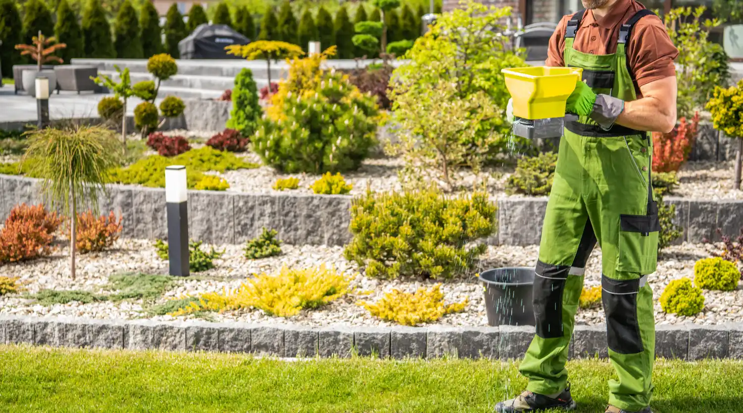 manutenzione-giardino-roccioso-torino-cura-piante