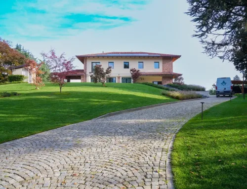 Giardini su misura a Torino e provincia: design esclusivo per il tuo spazio verde