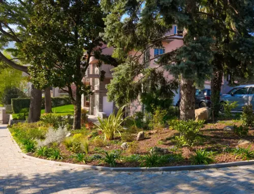 Giardini bio-sostenibili a Torino: crea uno spazio verde naturale ed ecologico