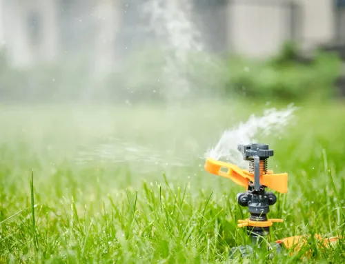 Soluzioni d’irrigazione per il tuo giardino a Torino: guida completa agli impianti ideali
