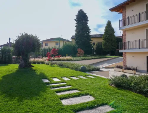 Spazi verdi armoniosi a Torino: scopri i nostri servizi di giardinaggio su misura