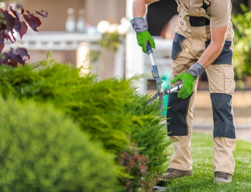Giardinieri a domicilio: il nostro servizio di assistenza per un giardino sempre curato
