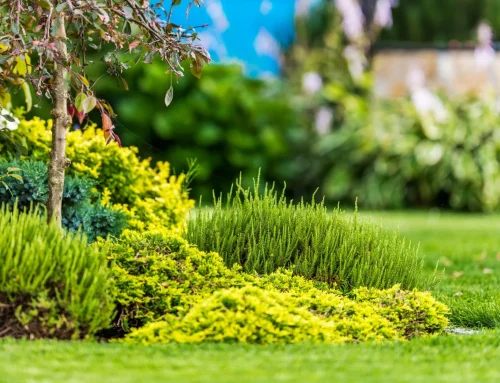 Come curare il giardino tutto l’anno a Torino: tecniche eco-sostenibili per un verde sempre rigoglioso
