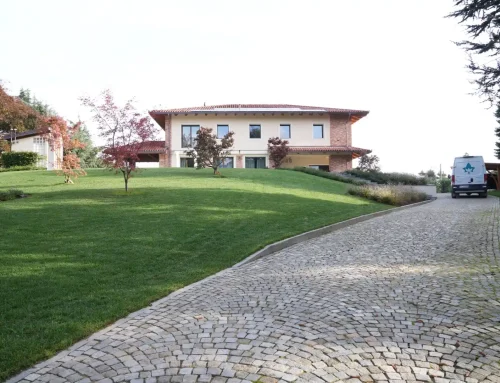 Rinnova il tuo giardino a Torino: come valorizzare spazi verdi con soluzioni professionali