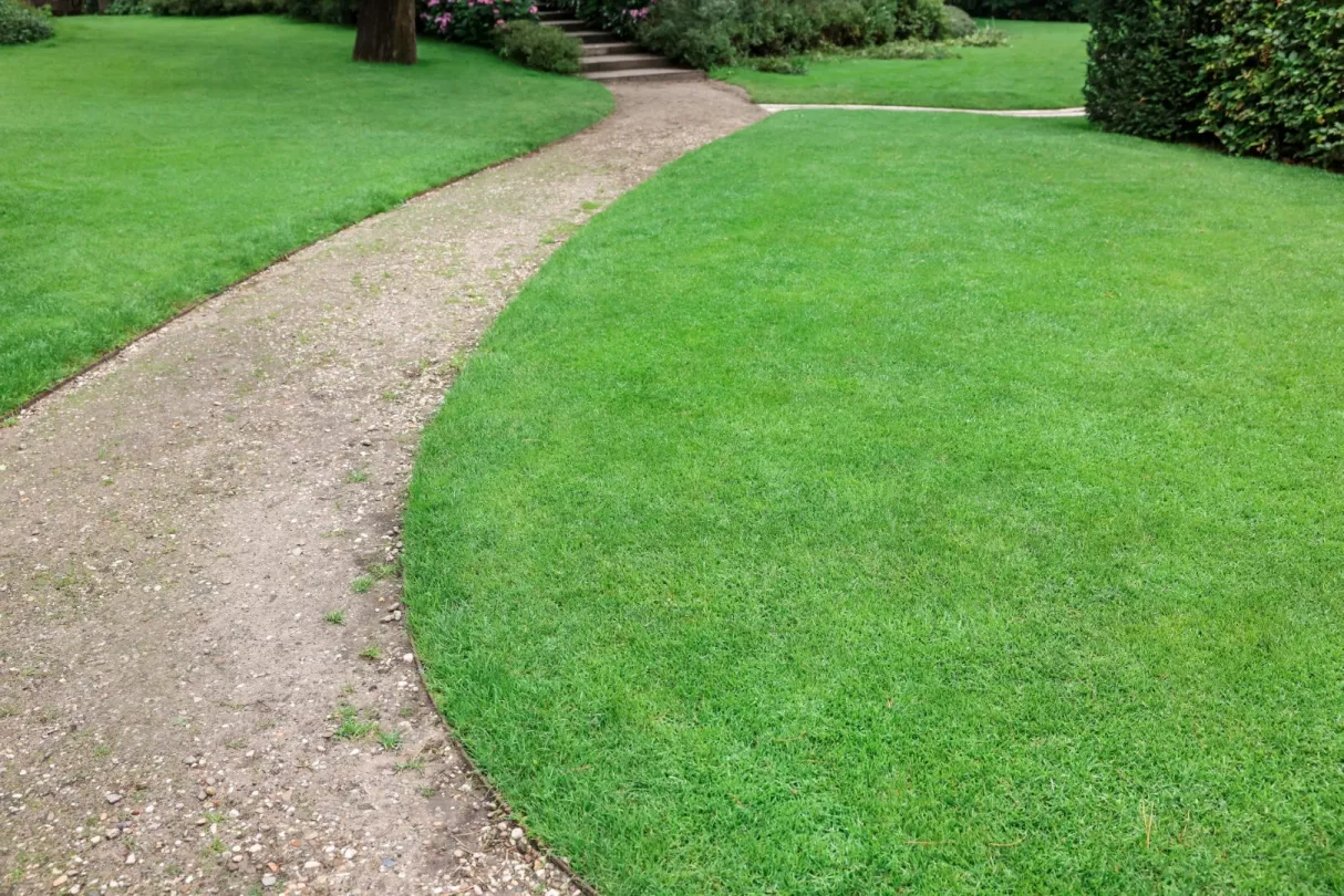 prato-inglese-giardino-verde-perfetto